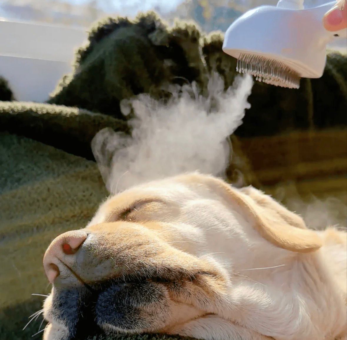 The Magic Grooming Brush™ - Buy 1 Get 1 Free