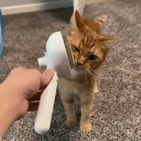 The Magic Grooming Brush™ - Buy 1 Get 1 Free