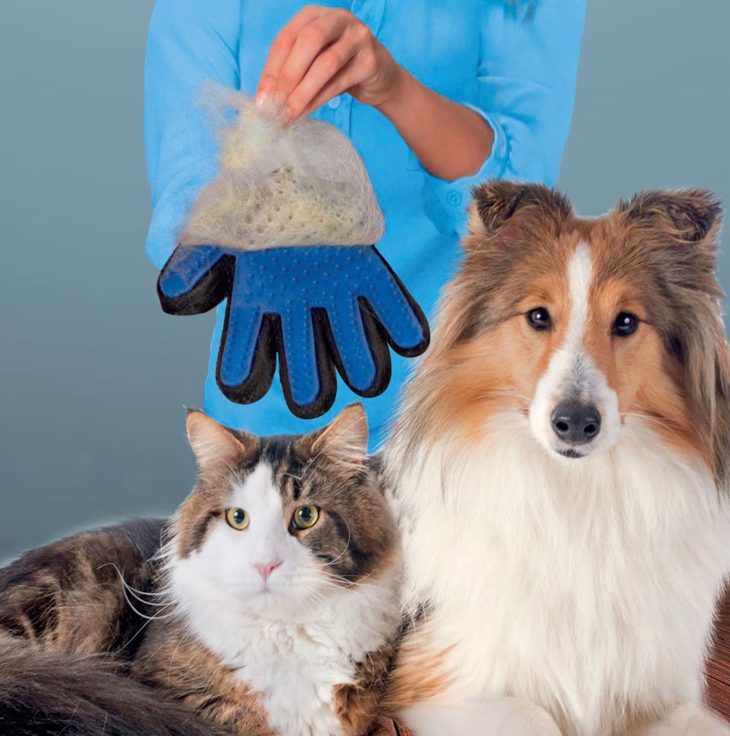 The Magic Grooming Glove™