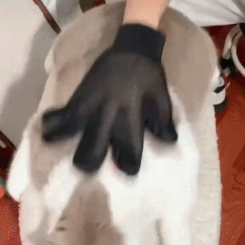 The Magic Grooming Glove™