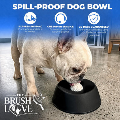 Spill-Proof Bowl™