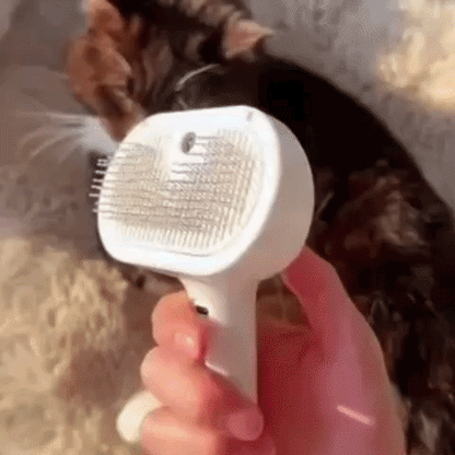 The Magic Grooming Brush™ - Buy 1 Get 1 Free
